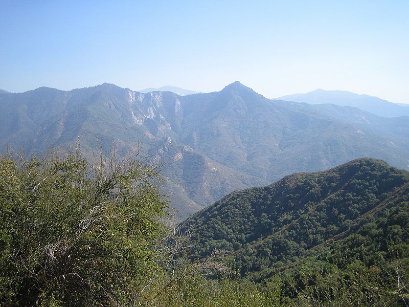 Giant Seqouia national park