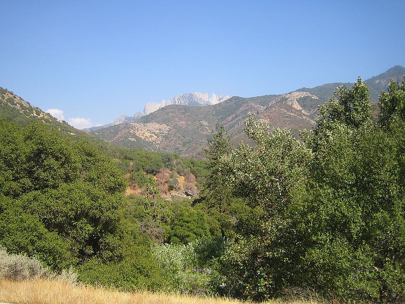 Giant Seqouia national park