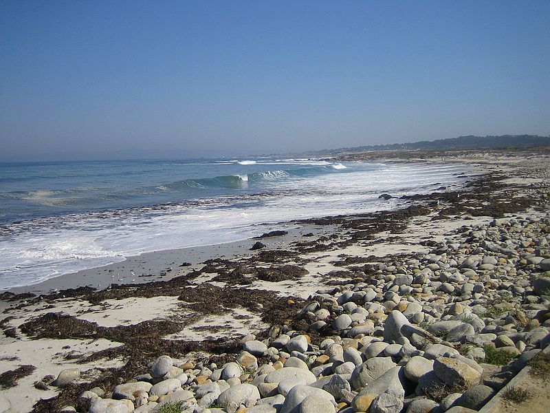 Pebble Beach, 17 mile drive